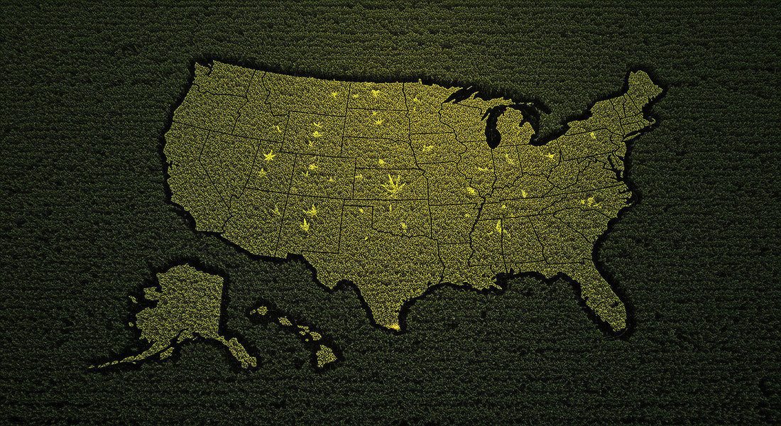 A U.S. map carved in a hemp field with glowing THCA hash marking legal states, shadowy restricted areas, and gray clouds over uncertain states at twilight.