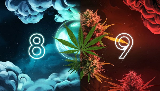 A split cosmic scene shows Delta 8 in cool blue with vape clouds on the left and Delta 9 in warm red with glowing buds on the right, linked by hemp leaves.