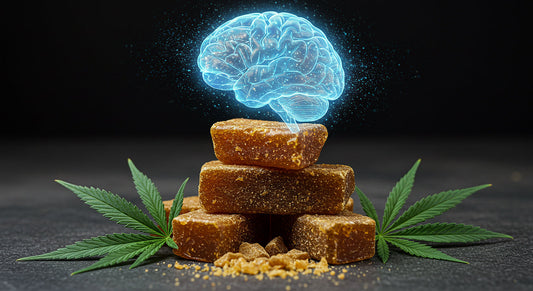 CBD hash glowing with hemp plants and brain hologram circling above.