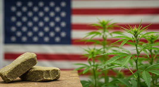 CBD hash with hemp and U.S. flag symbolizing trust and legality.