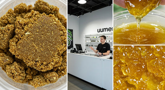 Collage of THCA hash, live rosin, and a buyer deciding between them in a dispensary.