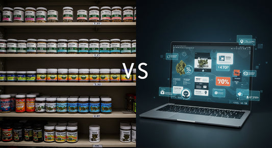 comparison of limited in-store cannabis options versus vibrant online thca hash shopping with variety and privacy
