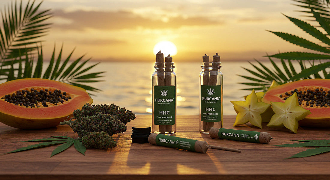 Hurcann HHC Pre-Rolls in glass bottles on a wooden table with hemp buds, tropical fruits, and earthy foliage under a sunset glow, evoking cannabis wellness.