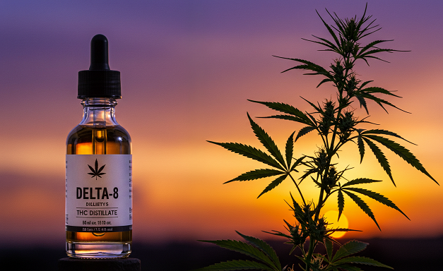 Cannabis plant with a serene CBD crystal and fiery Delta-8 THC distillate, against a purple-orange sunset sky.