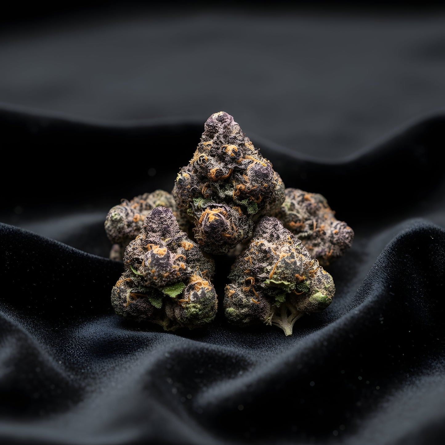Lifestyle image of Grape Cherry Gelato THCA hemp flower AAA grade hybrid, displaying rich colorful buds with grape cherry sweetness, ideal for euphoric uplift and mellow relaxation