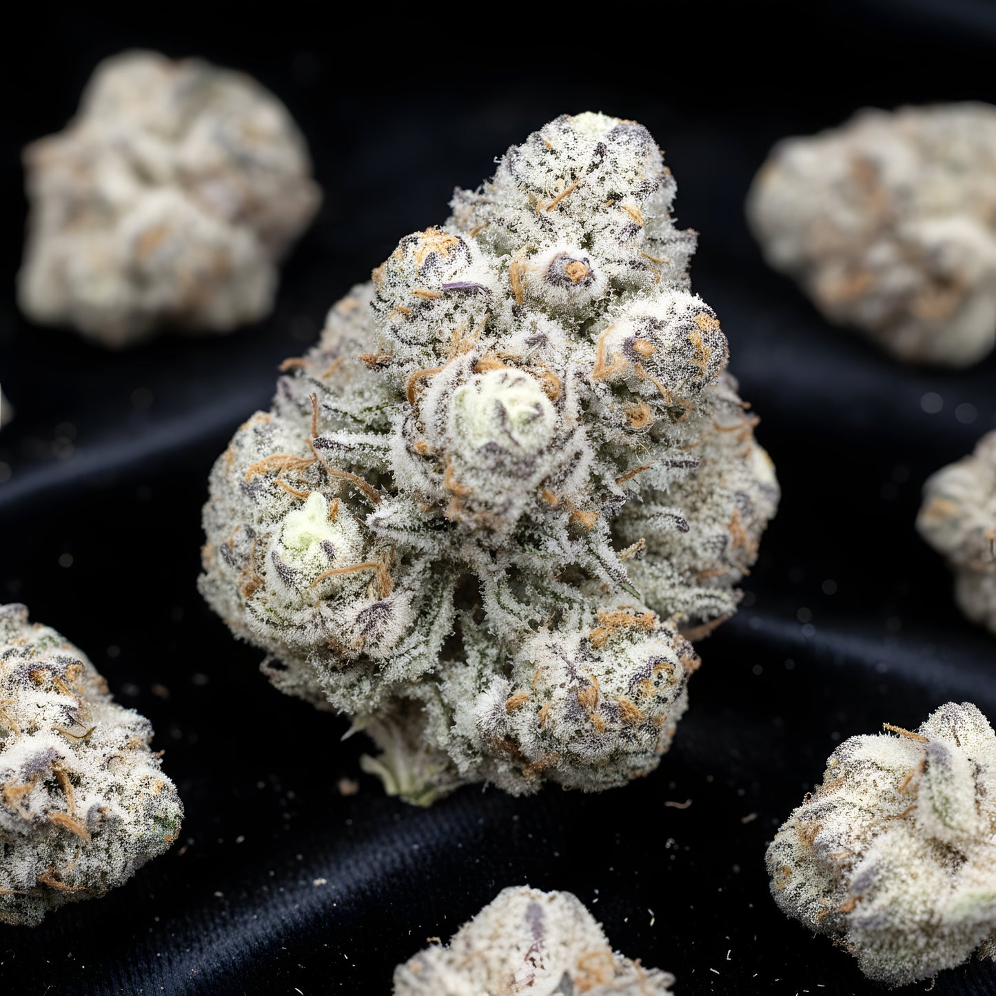 Lifestyle image of Oreoz Blizzard THCA hemp flower AAA grade indica dominant, displaying snowy purple buds with creamy dessert aroma, ideal for evening relaxation