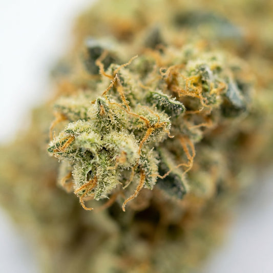 Macro view of Blue Dream CBD flower revealing intricate trichome coverage and resin-rich structure. Fine pistils and crystal-like trichomes highlight the strain’s aromatic and terpene-rich profile.