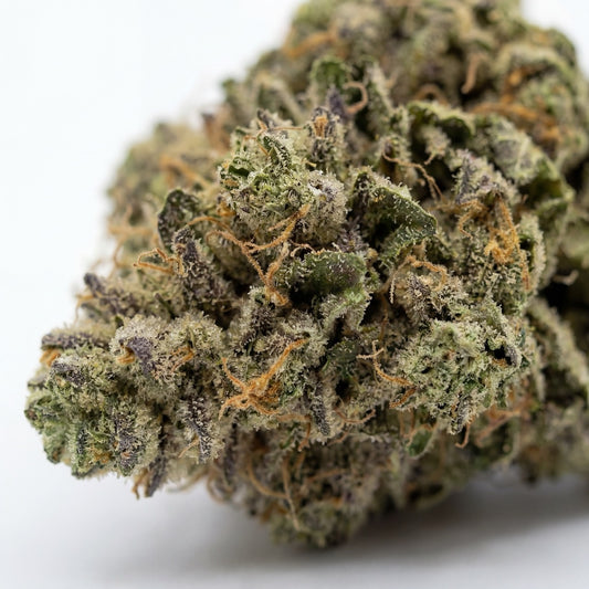 Extreme close-up of Gelato CBD flower buds showing dense trichome frost and subtle purple undertones.
Bright amber pistils weave through the compact structure, highlighting the resin-rich surface.