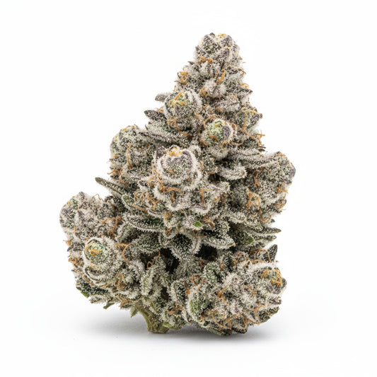 Oh La La shows off medium-dense buds covered in shimmering trichomes with shades of pink, violet, and mint green