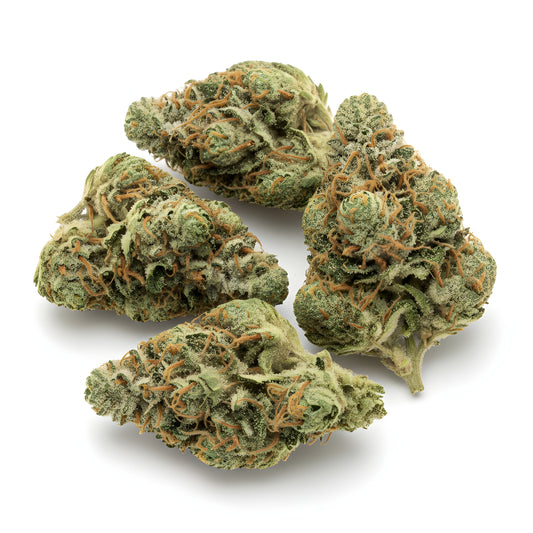 Main product photo of Sour Diesel THCA hemp flower AA grade hybrid, featuring Chemdawg 91 x Super Skunk genetics and classic diesel terpene profile