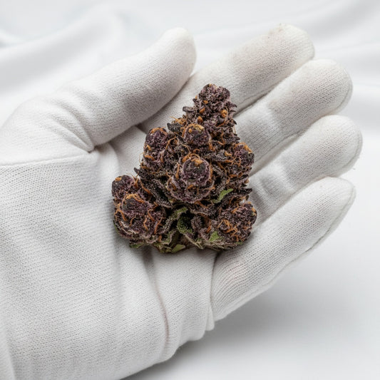 Each nug looks dense and crystal-rich.