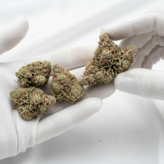 Its gentle effects make it perfect for daytime use or social settings where you want clarity without anxiety.