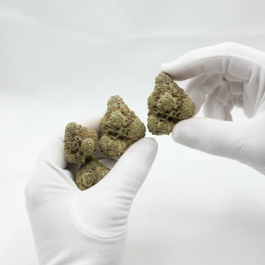 Its sweet, sherbet-like flavor and colorful buds make it stand out among dessert strains.