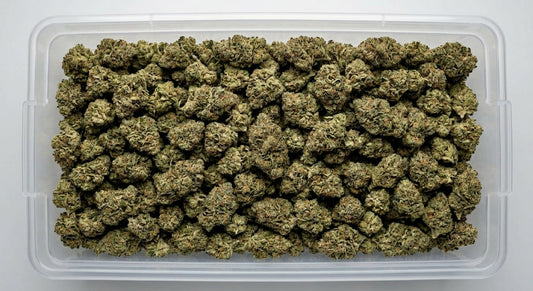 Bubba CBD Hemp Flower — Premium | Wholesale Bulk | 1 lb – 5 lbs — wholesale-bin