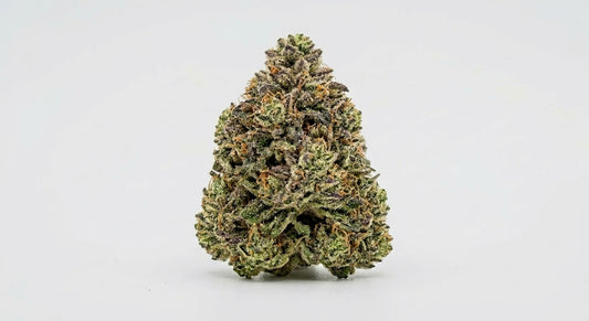 Cake Berry CBD Hemp Flower — Premium | Lab Tested | 3.5g – 28g — angle