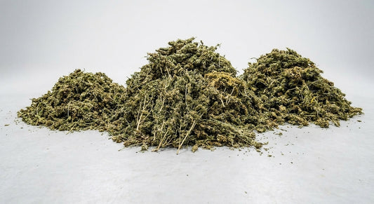 CBD Hemp Biomass — hangar