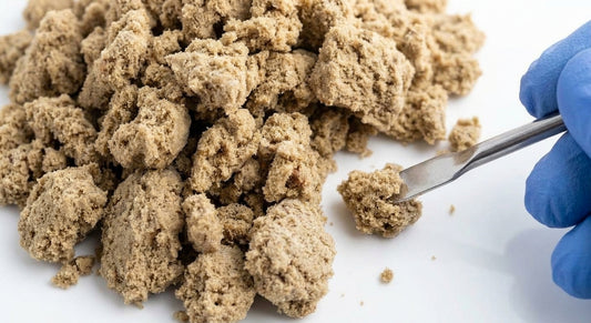 CBD Mousse Hash — macro