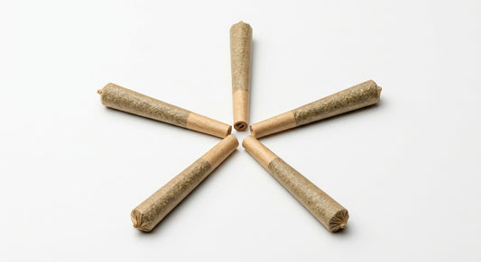 CBD Pre-Roll 5-Pack — fan