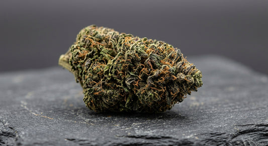 Cherry Wine CBD Hemp Flower — Outdoor Grown | Hand-Trimmed | 3.5g – 28g — angle