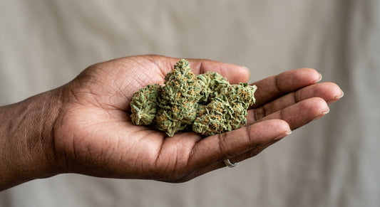 Citron CBD Hemp Flower — Indoor Grown | Premium | 3.5g – 28g — inhand