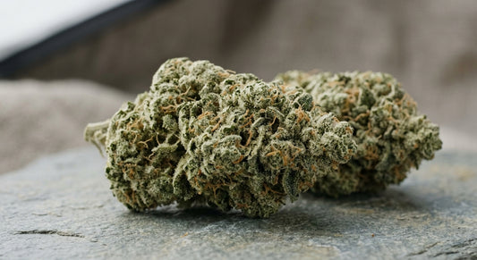 Frosted Kush CBD Hemp Flower — Indoor Grown | Premium | 3.5g – 28g — angle