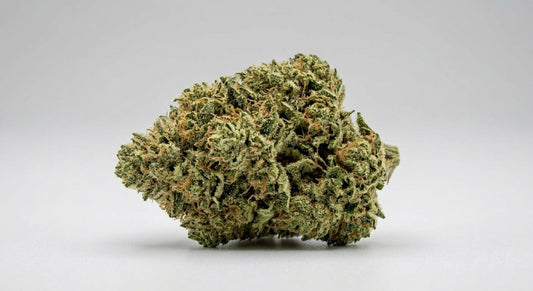 GFI CBD Hemp Flower — Premium | Lab Tested | 3.5g – 28g — angle