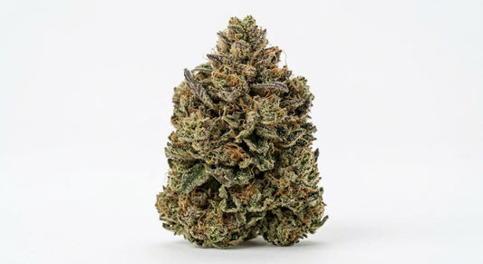 Papaya Nights CBD Hemp Flower — hero
