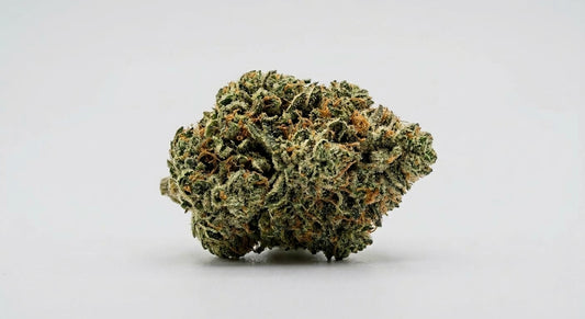 Sour Brulee CBD Hemp Flower — Premium | Lab Tested | 3.5g – 28g — angle