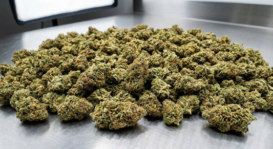 Special Sauce CBD Hemp Flower — bulk
