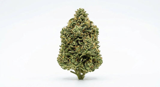 Suver Haze CBD Hemp Flower — hero
