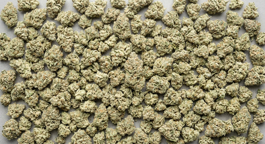 CBG Hemp Flower — White CBG | Wholesale Bulk | 1 lb – 5 lbs — wholesale-spread