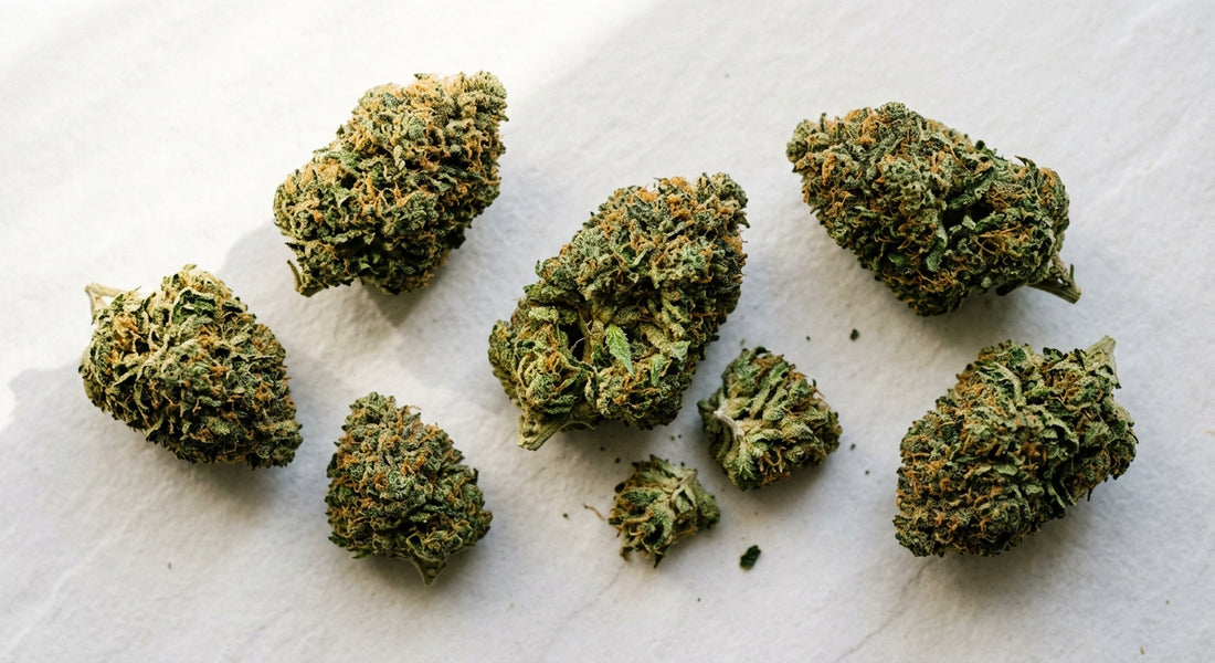 1lb CBD hemp flower bulk buds on white surface wholesale Hurcann