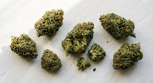 1lb CBD hemp flower bulk buds on white surface wholesale Hurcann