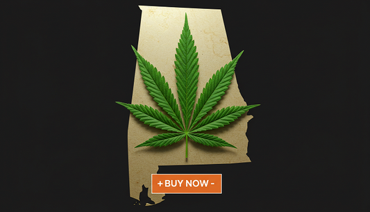 A vibrant green cannabis leaf over a map of Alabama, symbolizing cannabis seed purchasing in the state.
