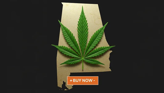 A vibrant green cannabis leaf over a map of Alabama, symbolizing cannabis seed purchasing in the state | Hurcann