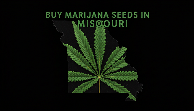 A graphic featuring a cannabis leaf over the Missouri state outline with bold text promoting marijuana seed purchases.