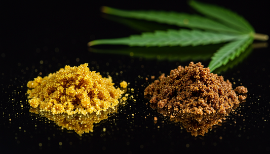 Macro shot of golden THCA hash and earthy delta 8 hash on reflective glass, with a cannabis leaf shadow and glistening terpene droplets.