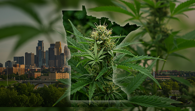  A banner with cannabis plants and the Minneapolis skyline.