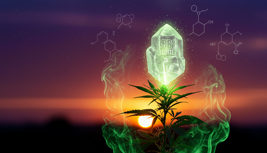 Cannabis plant with a glowing CBD isolate crystal and green smoke, against a purple sunset sky with molecular structures.