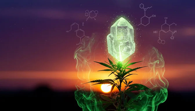 Cannabis plant with a glowing CBD isolate crystal and green smoke, against a purple sunset sky with molecular structures | Hurcann