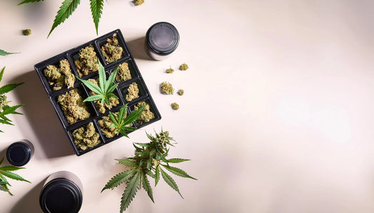A premium cannabis brand display with stylish packaging, digital branding elements, and a sleek retail setup showcasing a memorable brand identity | Hurcann