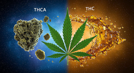 A split image of glowing THCA hash under blue light and sticky THC hash in amber hues, connected by a swirling cannabis leaf on a cosmic gradient background.