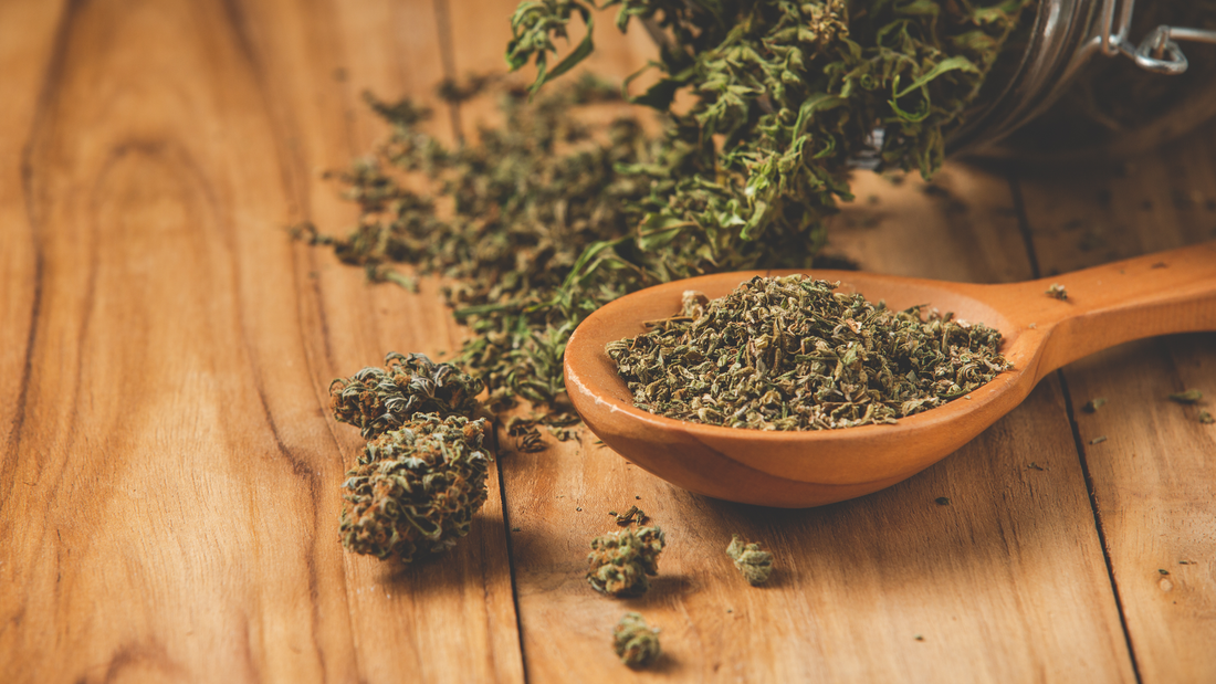 A close-up of dried cannabis spilling from a glass jar onto a wooden surface, with a wooden spoon filled with finely ground marijuana in the foreground