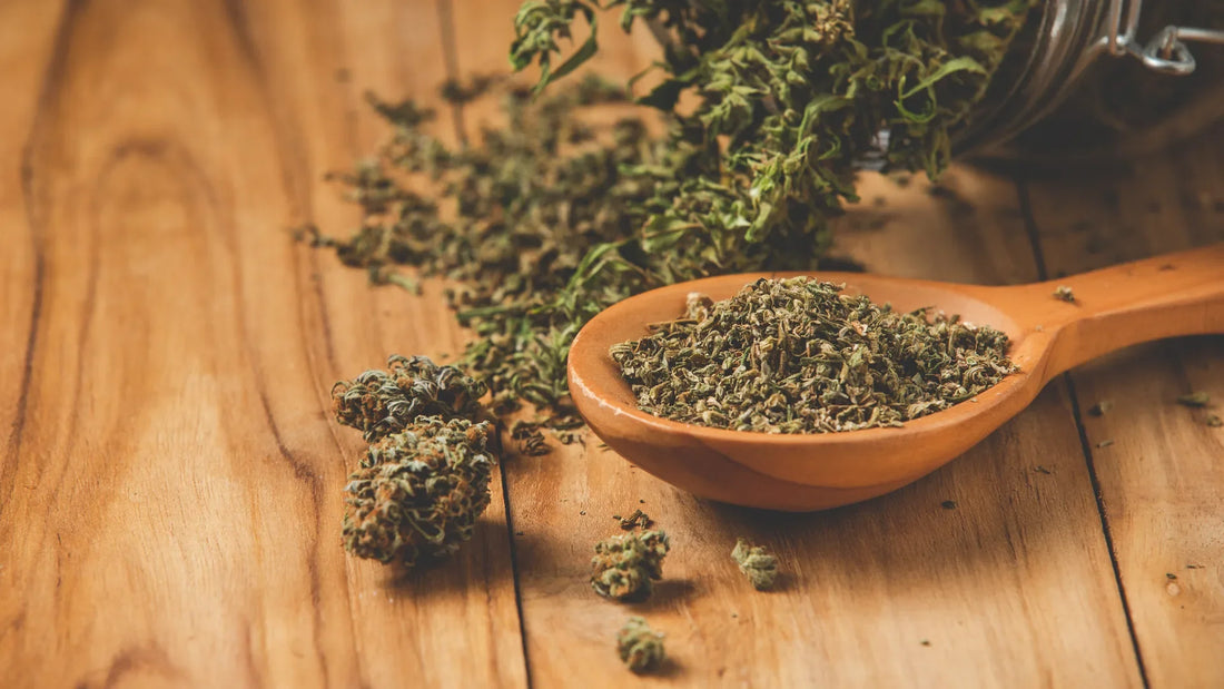 A close-up of dried cannabis spilling from a glass jar onto a wooden surface, with a wooden spoon filled with finely ground marijuana in the foreground | Hurcann