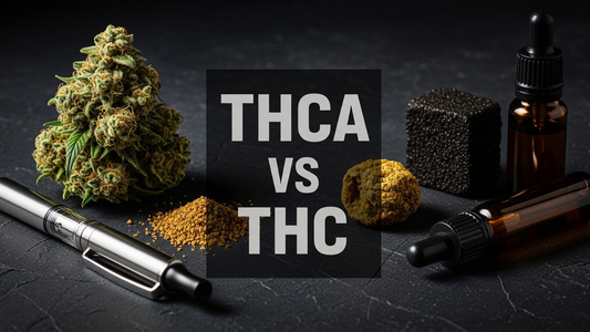 Cannabis flower hash kief and vape representing THCA vs THC complete guide