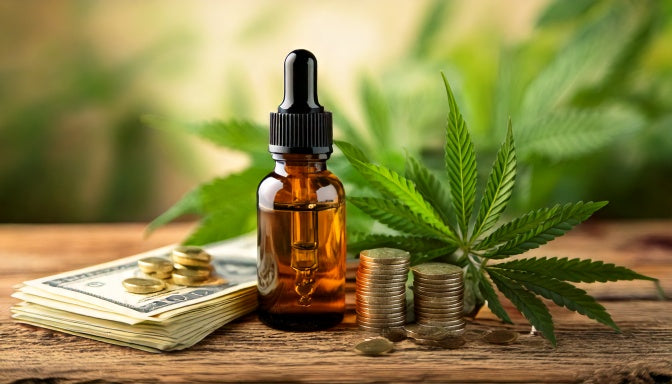 A bottle of CBD oil, hemp leaves, and capsules placed next to stacks of dollar bills and coins, symbolizing the financial aspect of the CBD industry