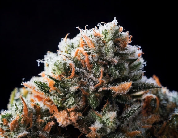 Close-up of cannabis ice caps, coated in a frosty white concentrate, highlighting their crystalline texture against a dark background