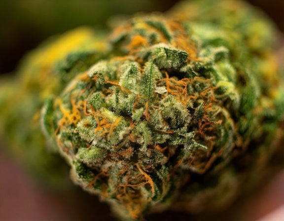 Cannabis bud with swirling terpene clouds in green, yellow, and purple, highlighting myrcene, limonene, and linalool.