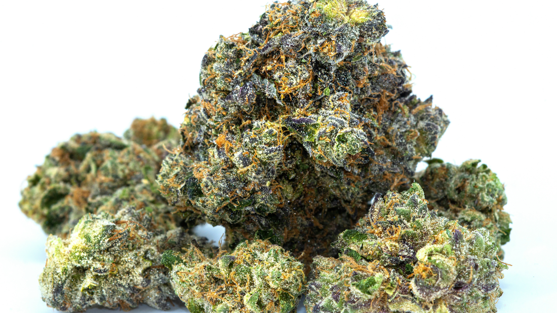 Close-up of dense CBG flower buds covered in trichomes, with green, purple, and orange hues against a white background.