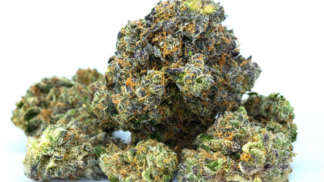 Close-up of dense CBG flower buds covered in trichomes, with green, purple, and orange hues against a white background | Hurcann